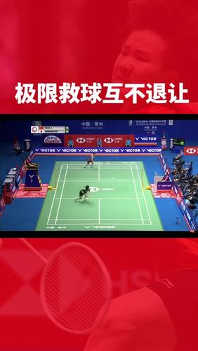中国体育羽毛球直播在线观看