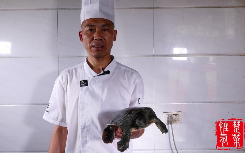 广西甲鱼厨师