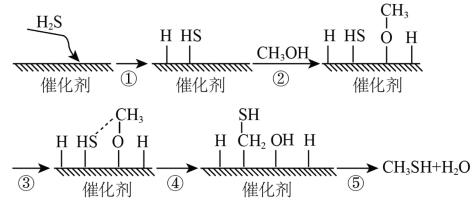 硫化氢酶法甲硫醇