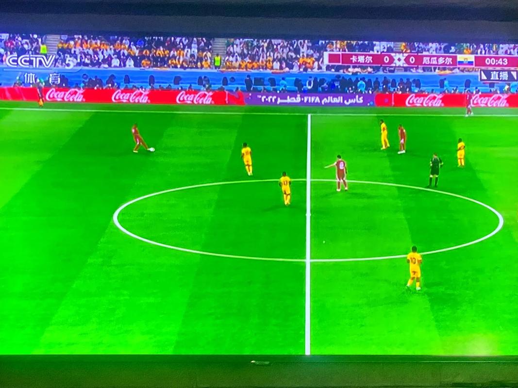 世界杯室内足球直播的相关图片